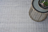 Exquisite Rugs Echo Indoor/Outdoor Flatweave PET yarn 4893 Ivory/Light Silver 8' x 10' Area Rug