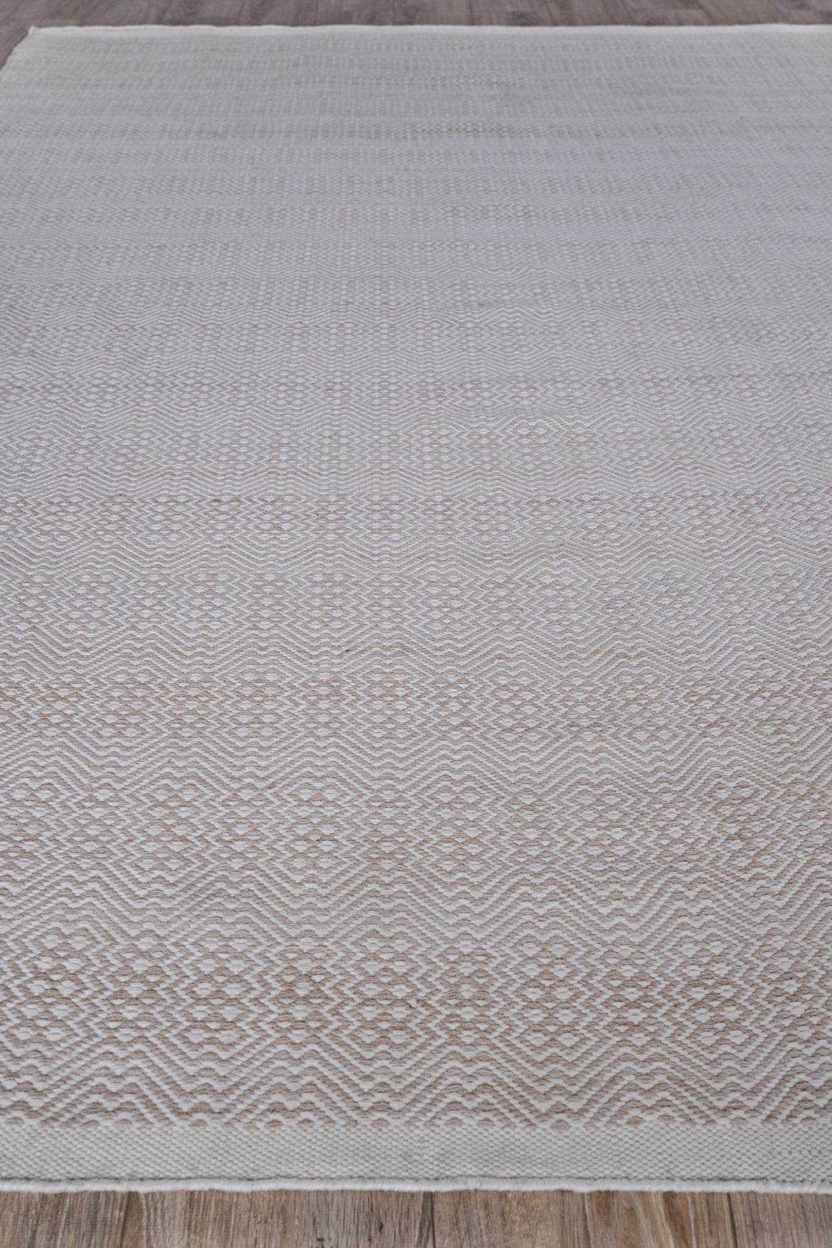 Exquisite Rugs Echo Indoor/Outdoor Flatweave PET yarn 4894 Ivory/Light Beige 3' x 5' Area Rug