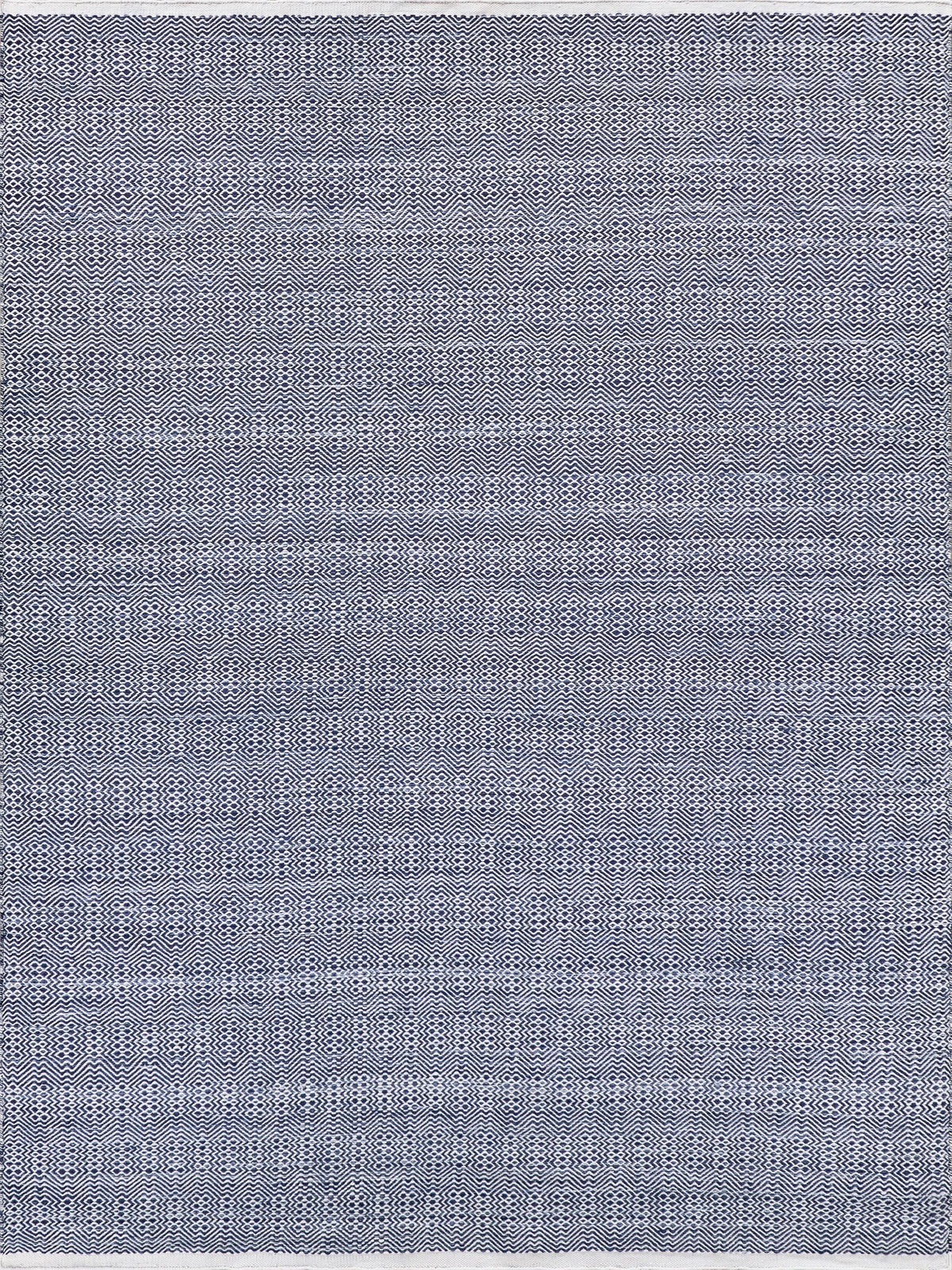 Exquisite Echo Indoor/Outdoor Flatweave PET yarn Ivory/Blue Area Rug 10.0'X14.0' Rug