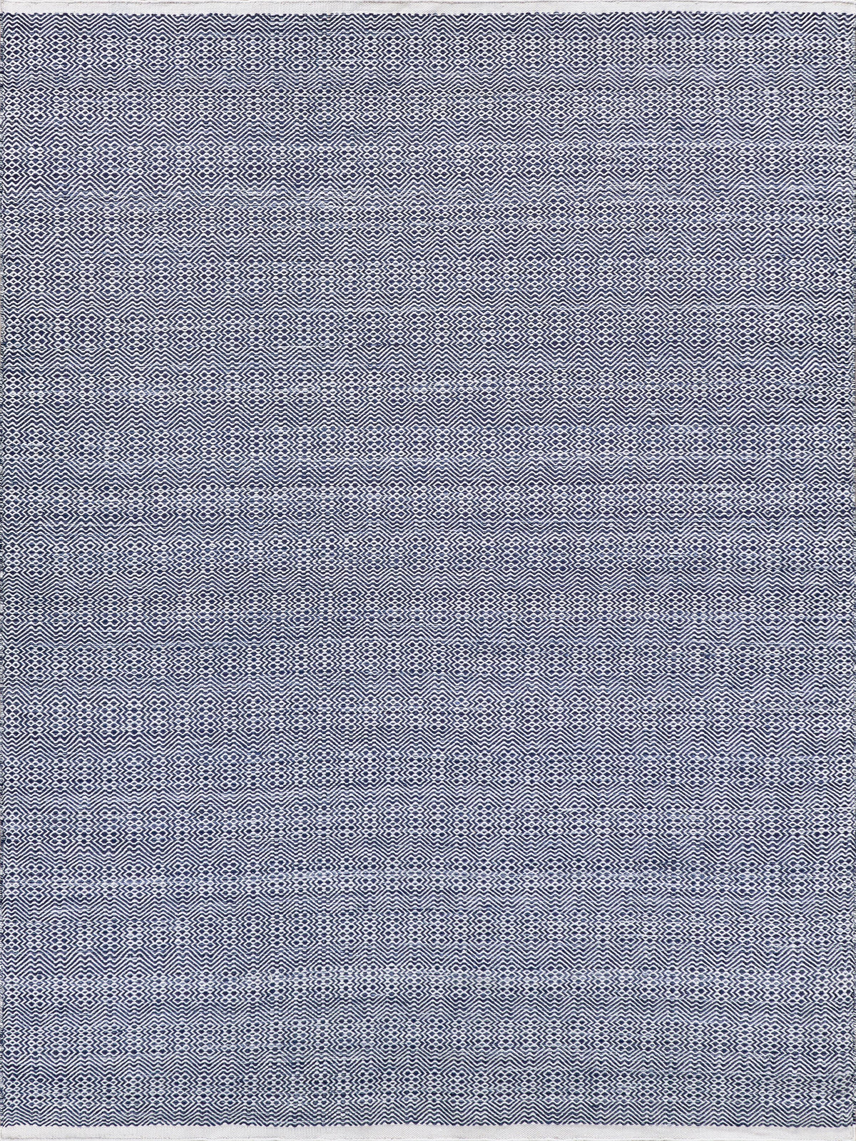 Exquisite Rugs Echo Indoor/Outdoor Flatweave PET yarn 4898 Ivory/Blue 9' x 12' Area Rug