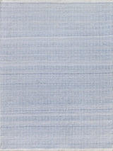 Exquisite Echo Indoor/Outdoor Flatweave PET yarn Light Blue Area Rug 5.0'X8.0' Rug