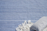 Exquisite Rugs Florence Indoor/Outdoor Flatweave PET yarn 4879 Light Blue 12' x 15' Area Rug