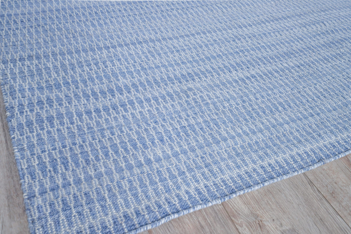 Exquisite Rugs Florence Indoor/Outdoor Flatweave PET yarn 4879 Light Blue 9' x 12' Area Rug