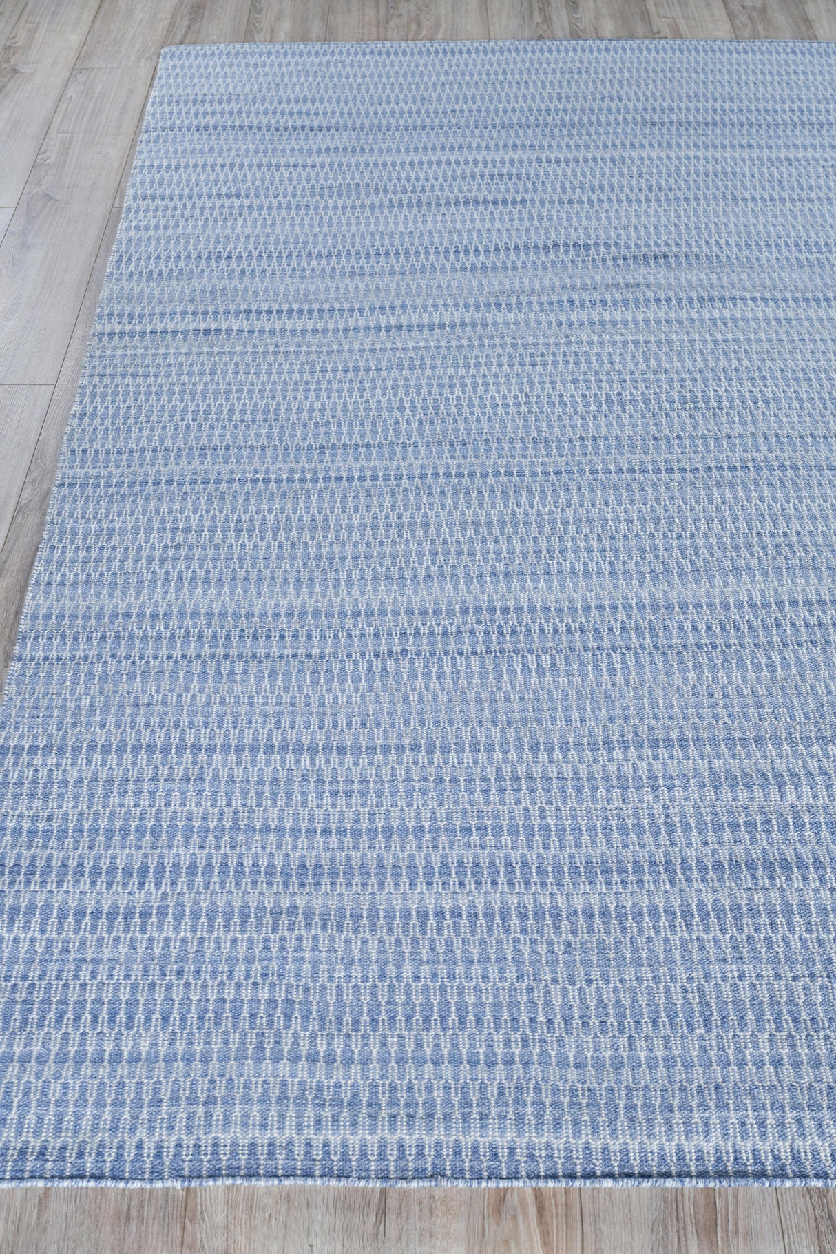 Exquisite Rugs Florence Indoor/Outdoor Flatweave PET yarn 4879 Light Blue 9' x 12' Area Rug