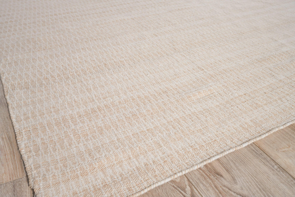 Exquisite Rugs Florence Indoor/Outdoor Flatweave PET yarn 4881 Light Beige 6' x 9' Area Rug