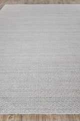 Exquisite Rugs Gamma Indoor/Outdoor Flatweave PET yarn 4885 Silver 10' x 14' Area Rug