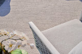 Exquisite Rugs Gamma Indoor/Outdoor Flatweave PET yarn 4885 Silver 10' x 14' Area Rug