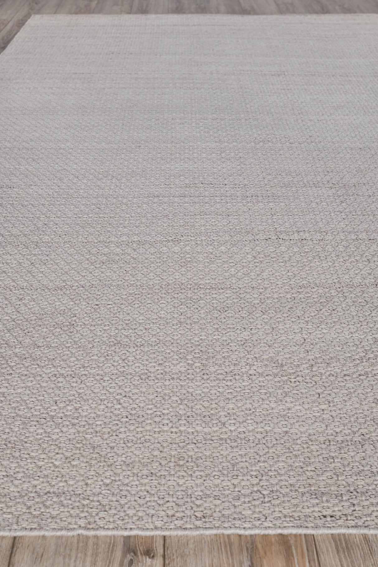 Exquisite Rugs Gamma Indoor/Outdoor Flatweave PET yarn 4886 Beige 5' x 8' Area Rug