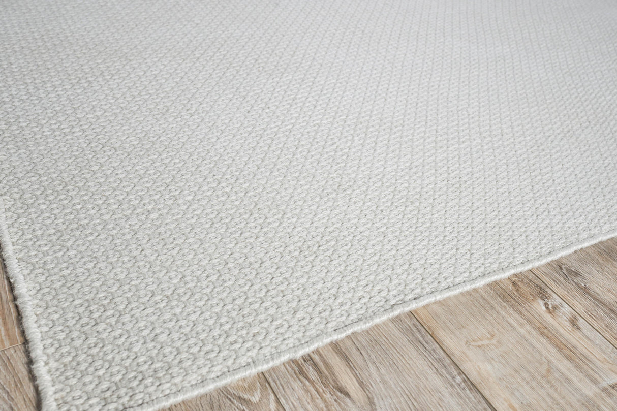 Exquisite Rugs Gamma Indoor/Outdoor Flatweave PET yarn 4887 Ivory 12' x 15' Area Rug