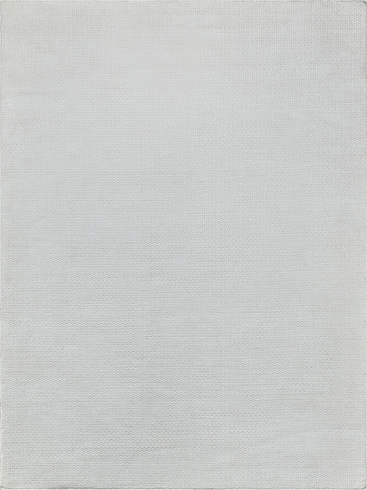 Exquisite Gamma Indoor/Outdoor Flatweave PET yarn Ivory Area Rug 4.0'X6.0' Rug