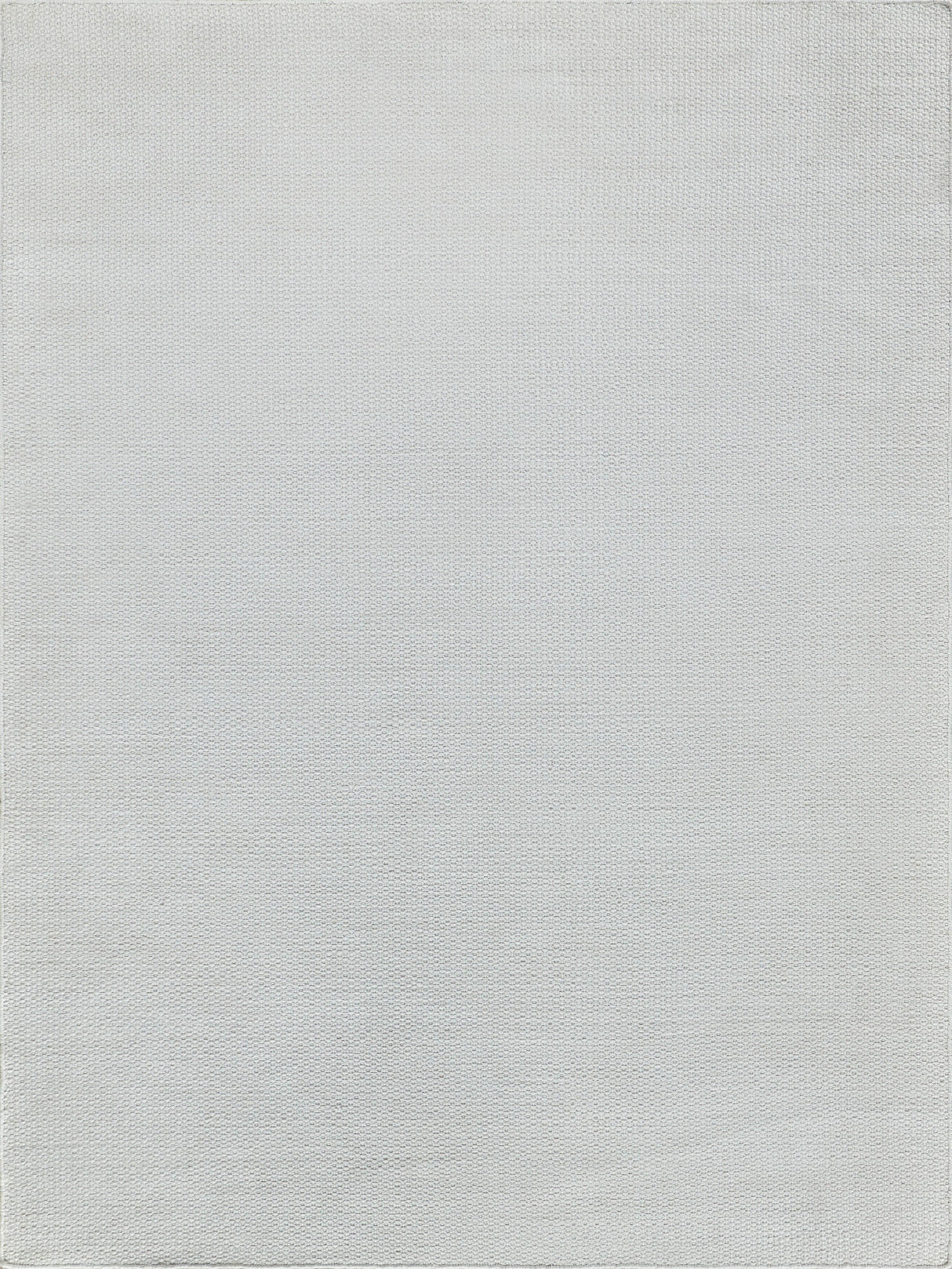 Exquisite Rugs Gamma Indoor/Outdoor Flatweave PET yarn 4887 Ivory 8' x 10' Area Rug