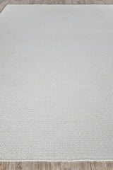 Exquisite Rugs Gamma Indoor/Outdoor Flatweave PET yarn 4887 Ivory 8' x 10' Area Rug