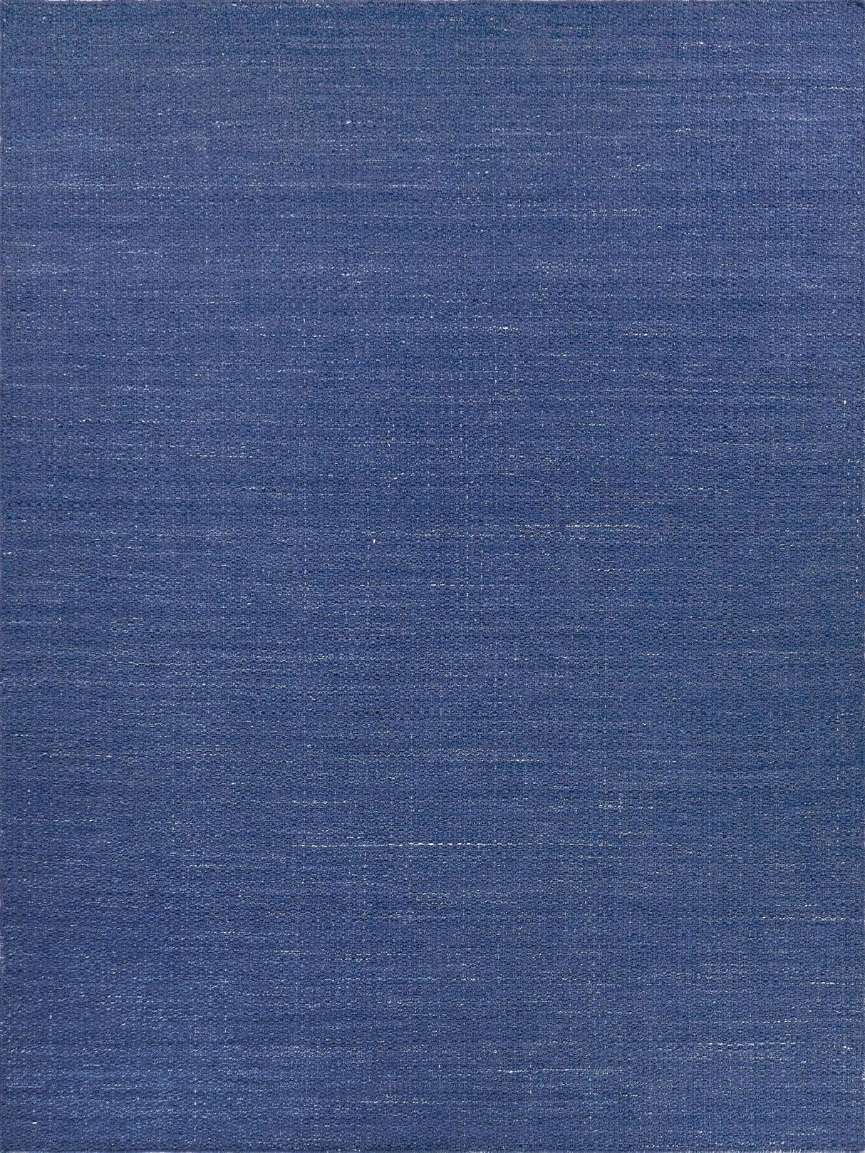 Exquisite Gamma Indoor/Outdoor Flatweave PET yarn Blue Area Rug 10.0'X14.0' Rug