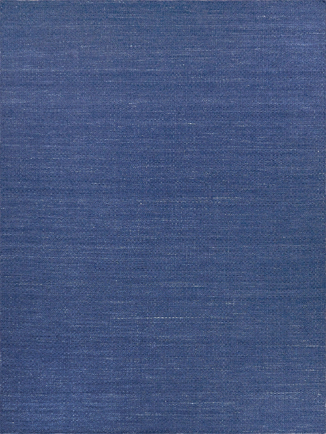 Exquisite Rugs Gamma Indoor/Outdoor Flatweave PET yarn 4899 Blue 5' x 8' Area Rug