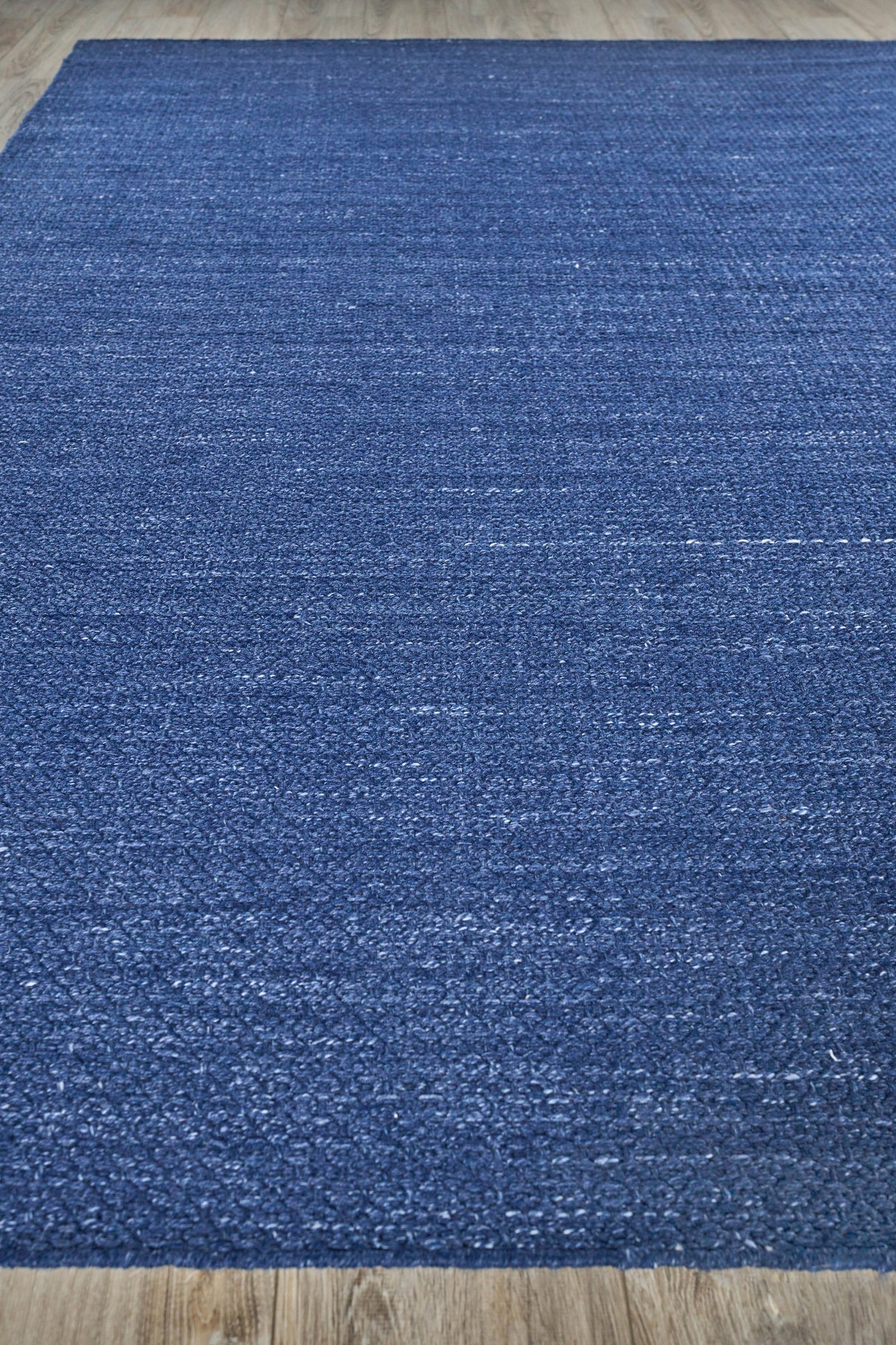 Exquisite Rugs Gamma Indoor/Outdoor Flatweave PET yarn 4899 Blue 6' x 9' Area Rug