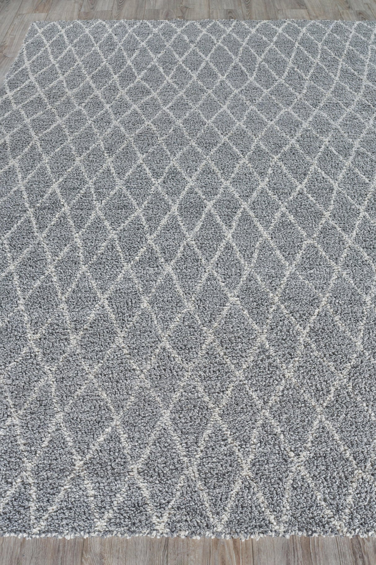 Exquisite Rugs Giorgio Indoor/Outdoor Reversible Flatweave PET yarn 4878 Gray/Ivory 6' x 9' Area Rug