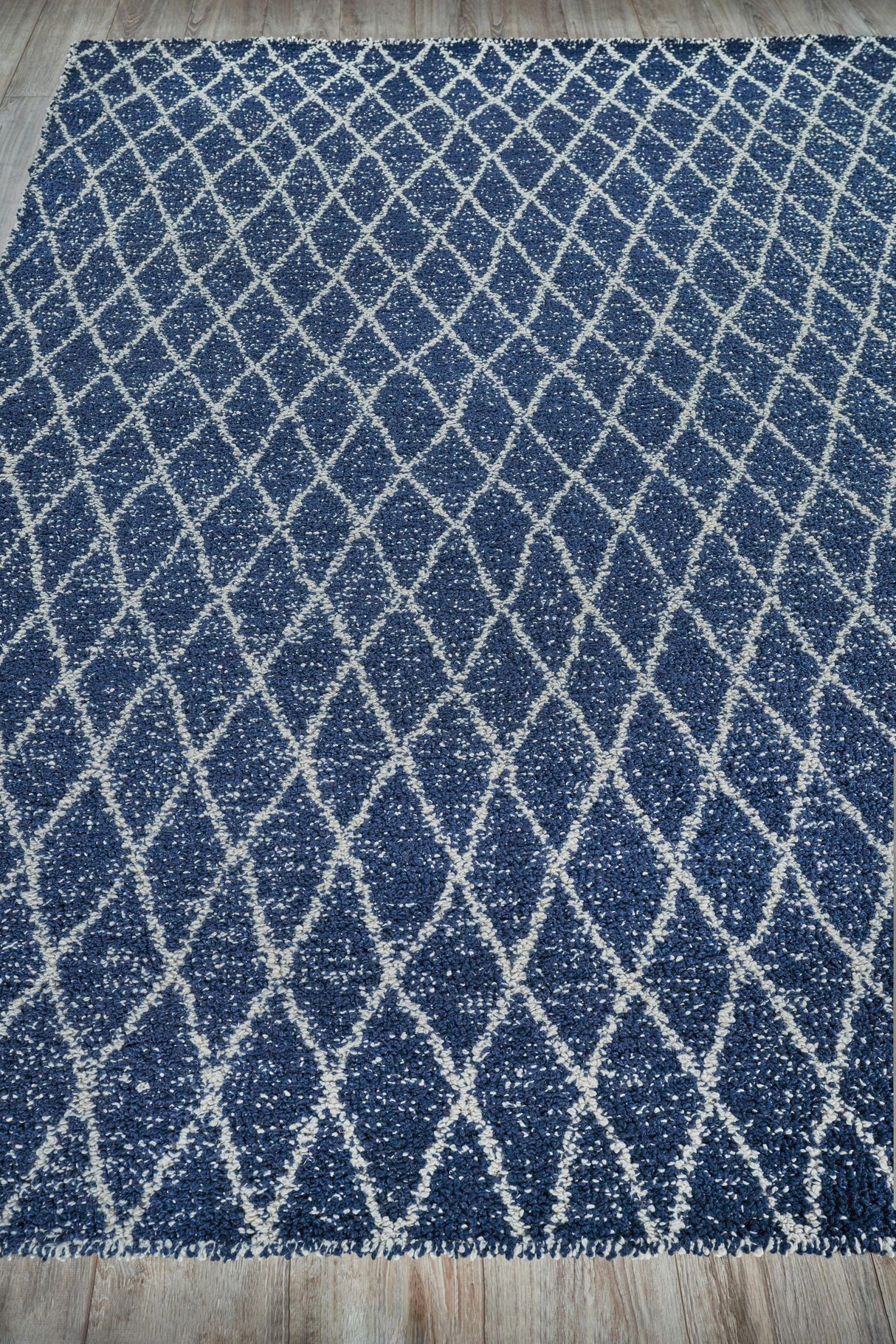 Exquisite Rugs Giorgio Indoor/Outdoor Reversible Flatweave PET yarn 4995 Navy/Ivory 12' x 15' Area Rug