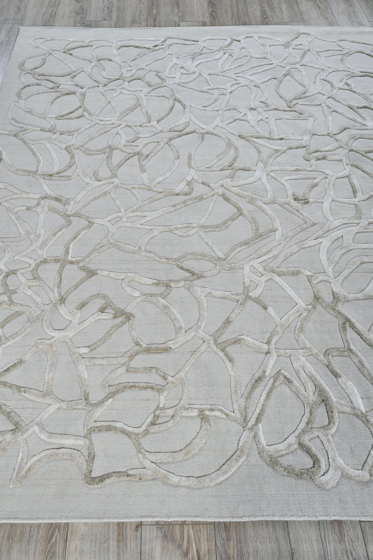 Exquisite Rugs Goudy Hand-loomed Wool/Bamboo Silk 4349 Ivory/Beige 6' x 9' Area Rug
