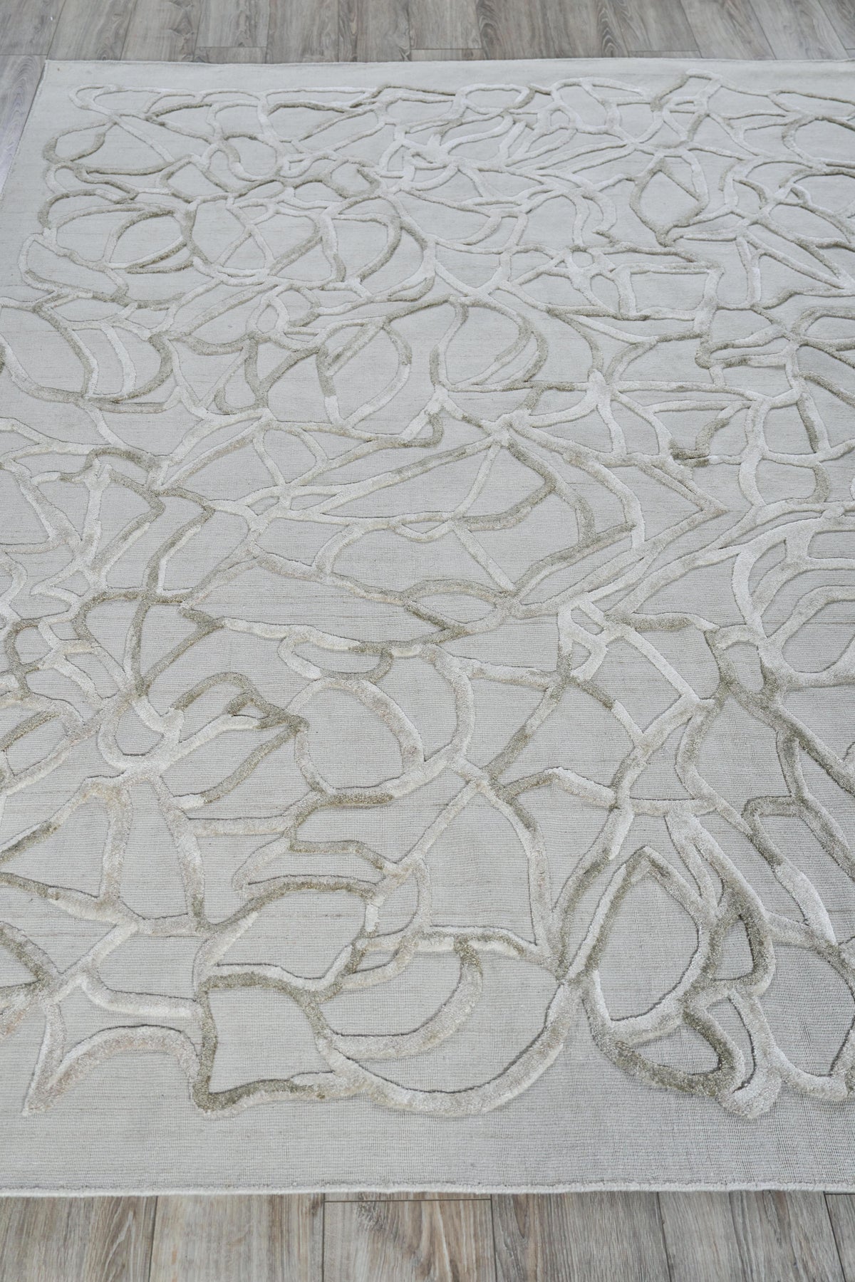 Exquisite Rugs Goudy Hand-loomed Wool/Bamboo Silk 4349 Ivory/Beige 9' x 12' Area Rug