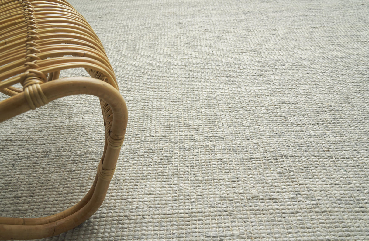 Exquisite Rugs Hesse Handwoven Polyester/Cotton 3856 Light Silver 6' x 9' Area Rug