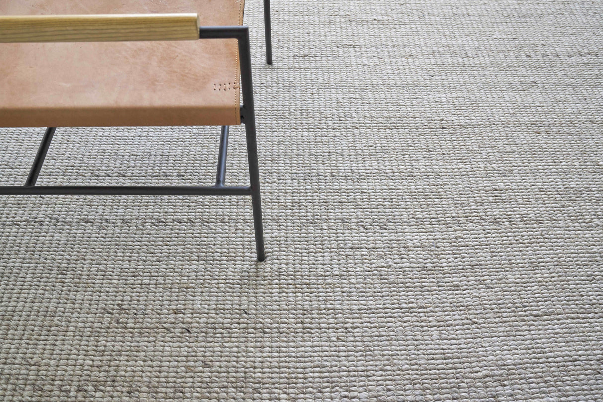 Exquisite Rugs Hesse Handwoven Polyester/Cotton 3859 Beige 6' x 9' Area Rug
