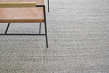Exquisite Rugs Hesse Handwoven Polyester/Cotton 3859 Beige 6' x 9' Area Rug