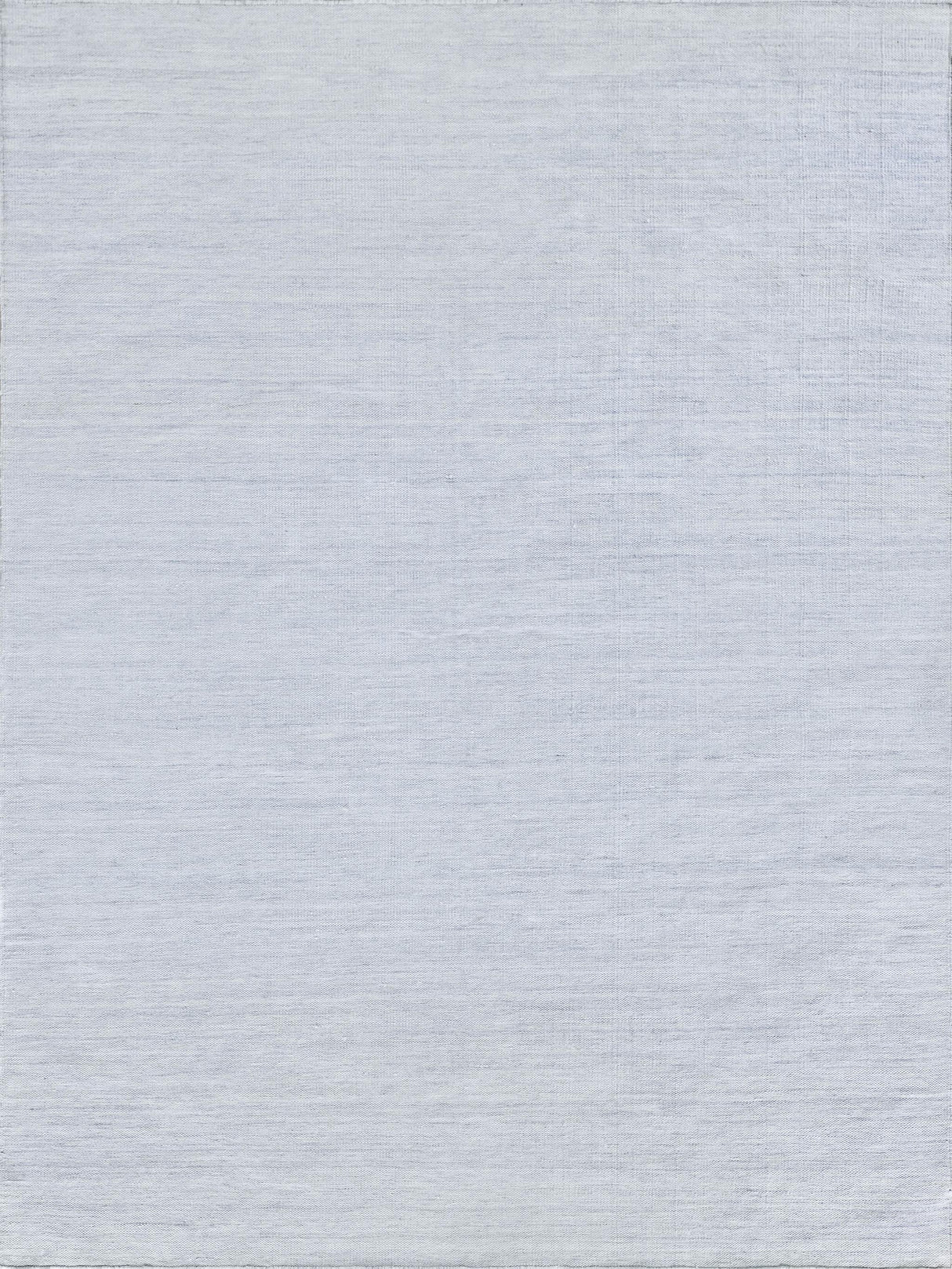 Exquisite Kashmir Indoor/Outdoor Flatweave PET yarn Light Blue Area Rug 8.0'X10.0' Rug