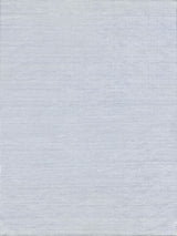 Exquisite Kashmir Indoor/Outdoor Flatweave PET yarn Light Blue Area Rug 8.0'X10.0' Rug