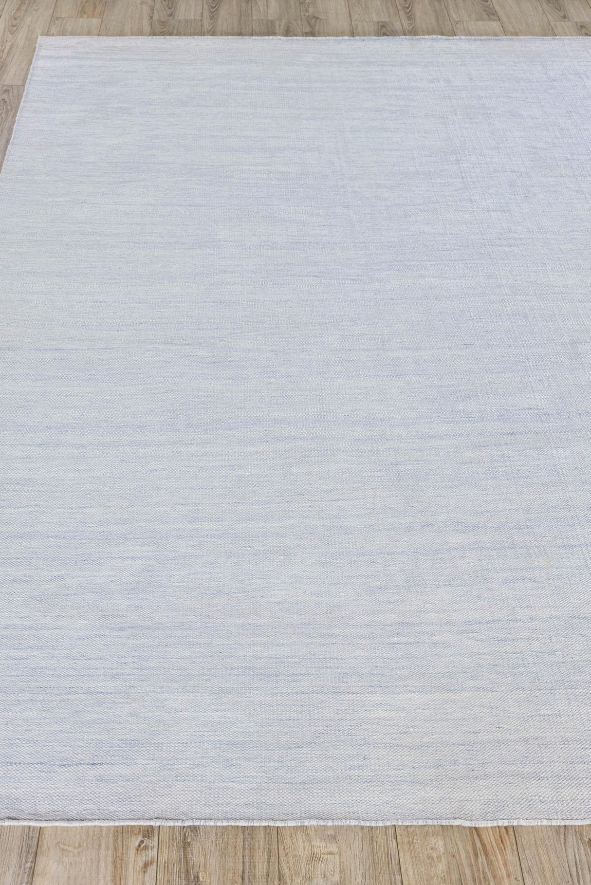 Exquisite Rugs Kashmir Indoor/Outdoor Flatweave PET yarn 4850 Light Blue 8' x 10' Area Rug
