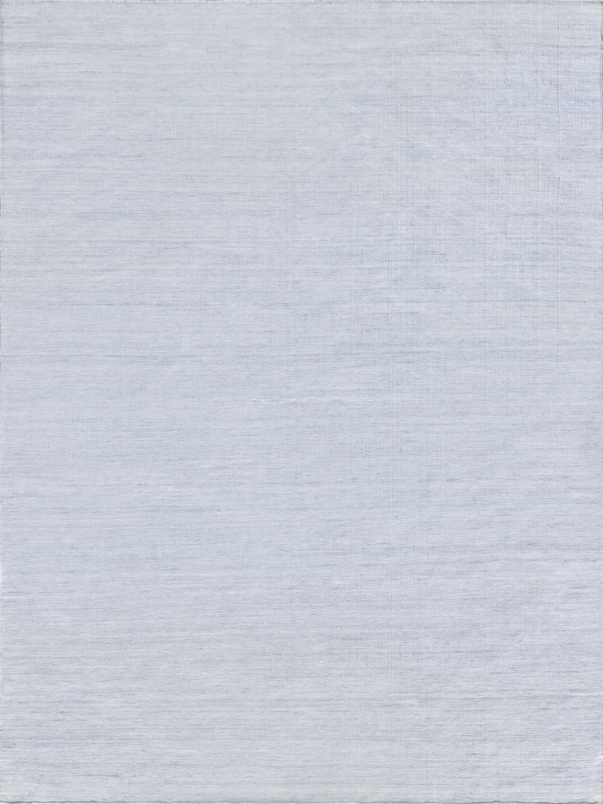 Exquisite Rugs Kashmir Indoor/Outdoor Flatweave PET yarn 4850 Light Blue 8' x 10' Area Rug