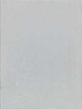 Exquisite Kashmir Indoor/Outdoor Flatweave PET yarn Ivory Area Rug 10.0'X14.0' Rug