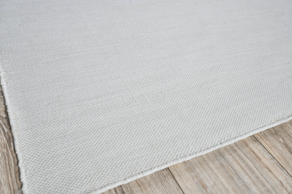 Exquisite Rugs Kashmir Indoor/Outdoor Flatweave PET yarn 4851 Ivory 9' x 12' Area Rug
