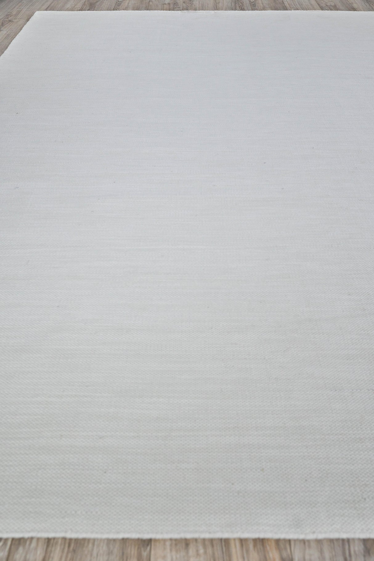 Exquisite Rugs Kashmir Indoor/Outdoor Flatweave PET yarn 4851 Ivory 9' x 12' Area Rug