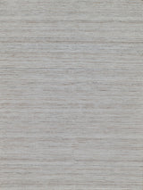 Exquisite Rugs Kashmir Indoor/Outdoor Flatweave PET yarn 4854 Light Beige 10' x 14' Area Rug