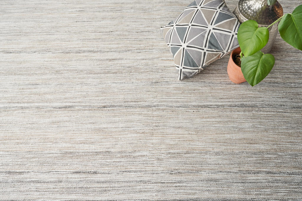 Exquisite Kashmir Indoor/Outdoor Flatweave PET yarn Light Taupe Area Rug 6.0'X9.0' Rug