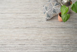 Exquisite Kashmir Indoor/Outdoor Flatweave PET yarn Light Taupe Area Rug 6.0'X9.0' Rug