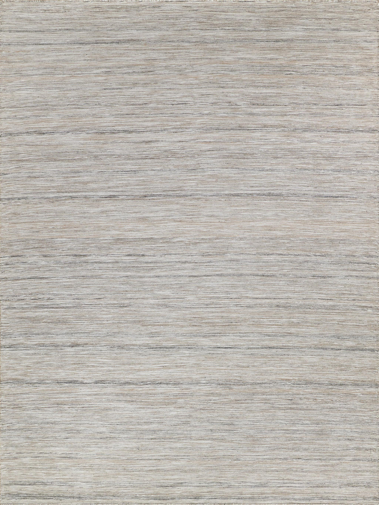 Exquisite Kashmir Indoor/Outdoor Flatweave PET yarn Light Taupe Area Rug 8.0'X10.0' Rug