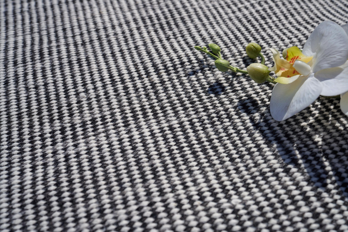 Exquisite Rugs Lenzi Indoor/Outdoor Flatweave PET yarn 4862 Black/Ivory 3' x 5' Area Rug