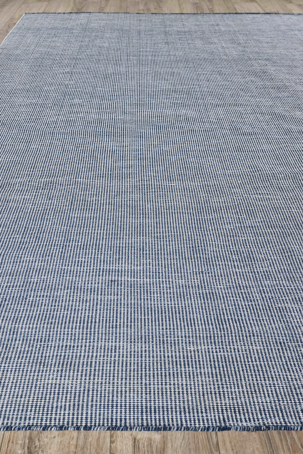 Exquisite Rugs Lenzi Indoor/Outdoor Flatweave PET yarn 4864 Blue 9' x 12' Area Rug