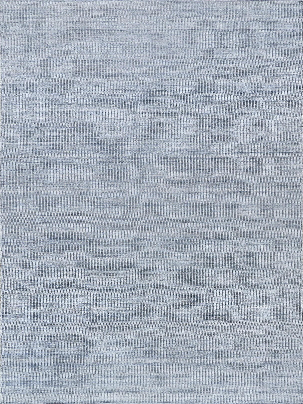 Exquisite Loro Indoor/Outdoor Flatweave PET yarn Light Blue Area Rug 6.0'X9.0' Rug