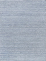 Exquisite Loro Indoor/Outdoor Flatweave PET yarn Light Blue Area Rug 6.0'X9.0' Rug