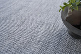 Exquisite Rugs Loro Indoor/Outdoor Flatweave PET yarn 4857 Light Silver 12' x 15' Area Rug