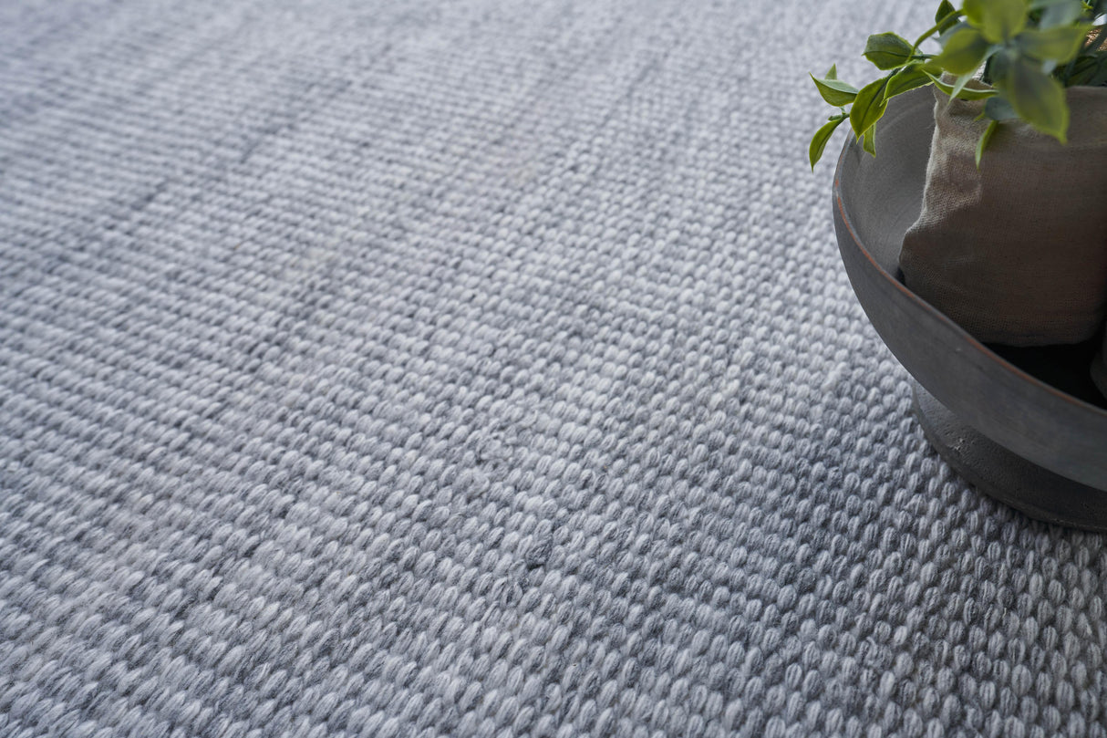 Exquisite Rugs Loro Indoor/Outdoor Flatweave PET yarn 4857 Light Silver 3' x 5' Area Rug