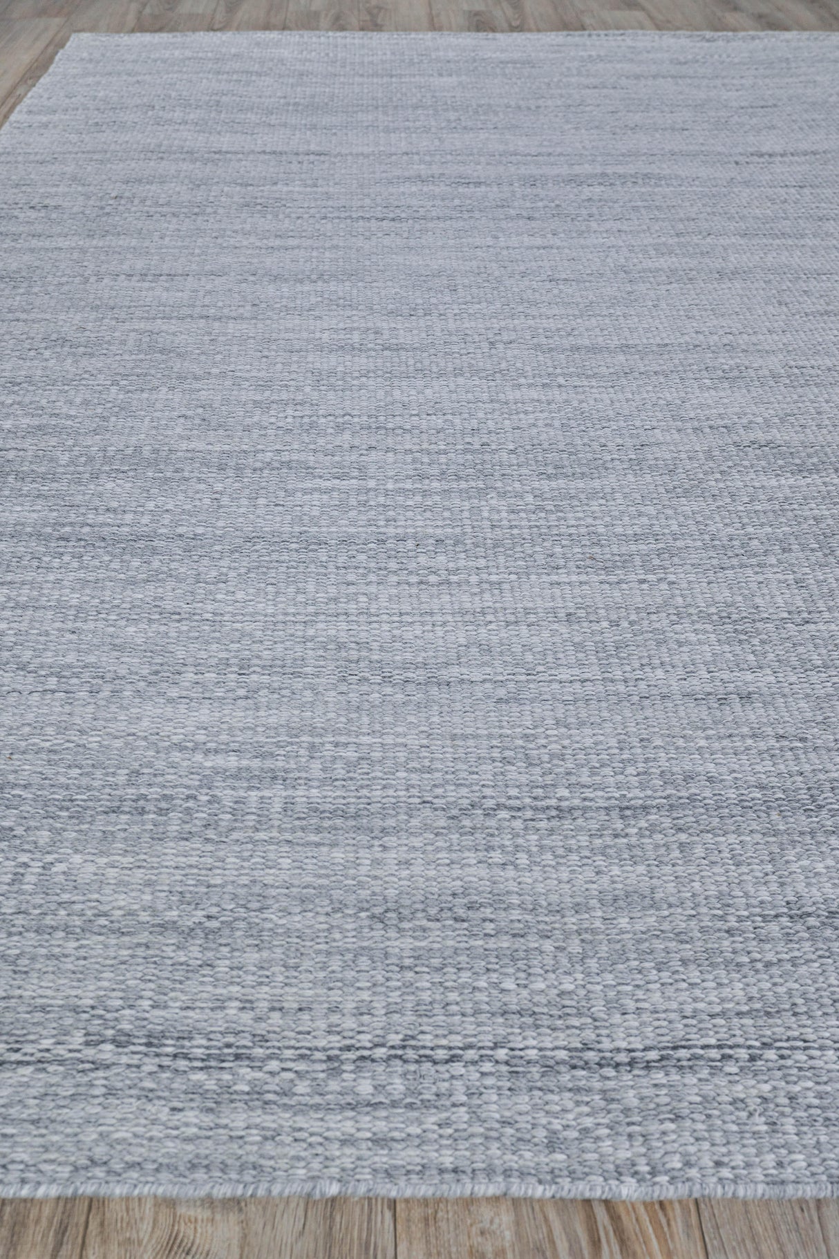 Exquisite Rugs Loro Indoor/Outdoor Flatweave PET yarn 4857 Light Silver 8' x 10' Area Rug