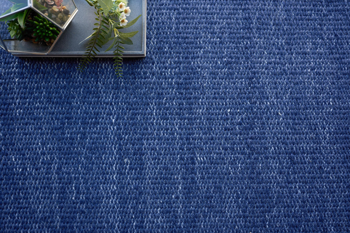 Exquisite Rugs Loro Indoor/Outdoor Flatweave PET yarn 4859 Navy 10' x 14' Area Rug