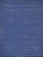 Exquisite Rugs Loro Indoor/Outdoor Flatweave PET yarn 4859 Navy 10' x 14' Area Rug