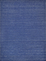 Exquisite Loro Indoor/Outdoor Flatweave PET yarn Navy Area Rug 8.0'X10.0' Rug