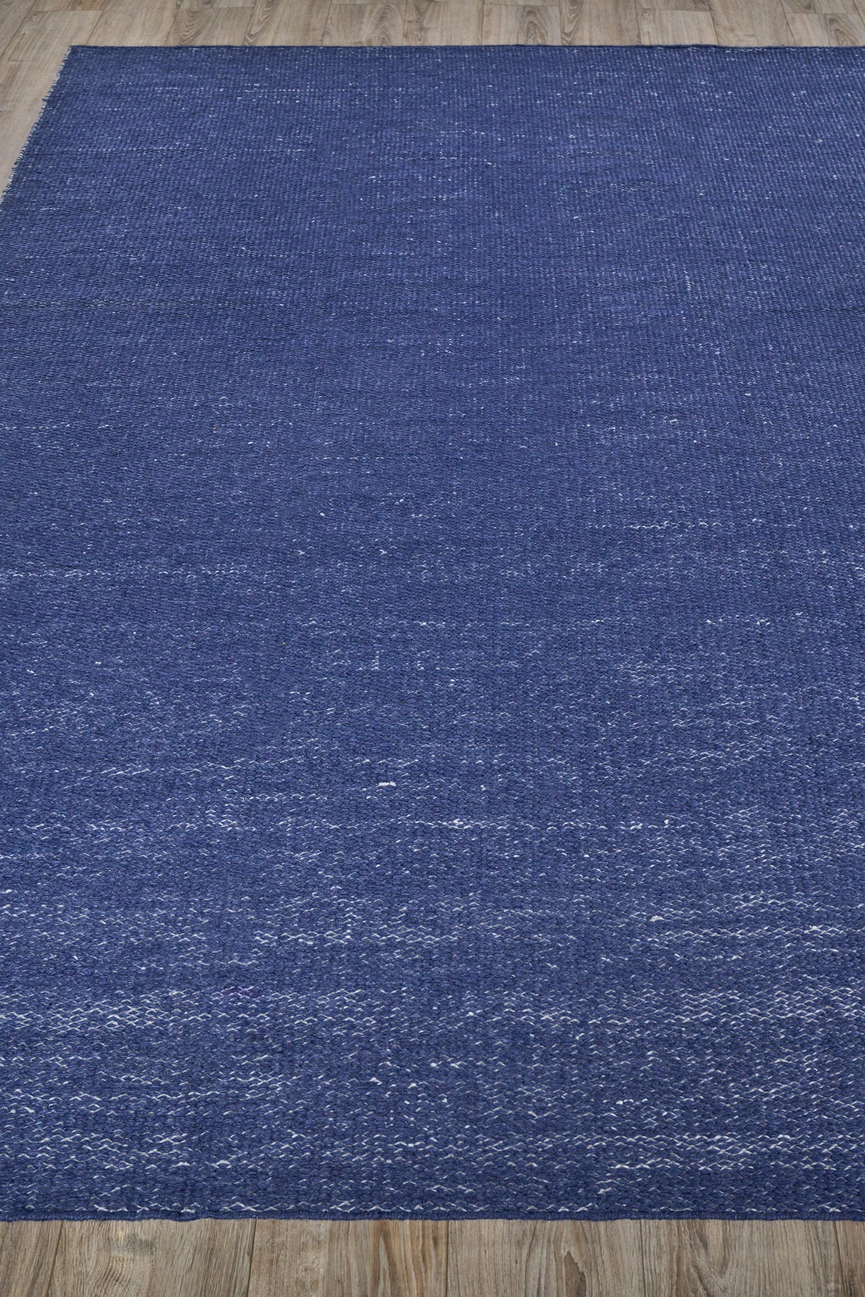 Exquisite Rugs Loro Indoor/Outdoor Flatweave PET yarn 4859 Navy 8' x 10' Area Rug