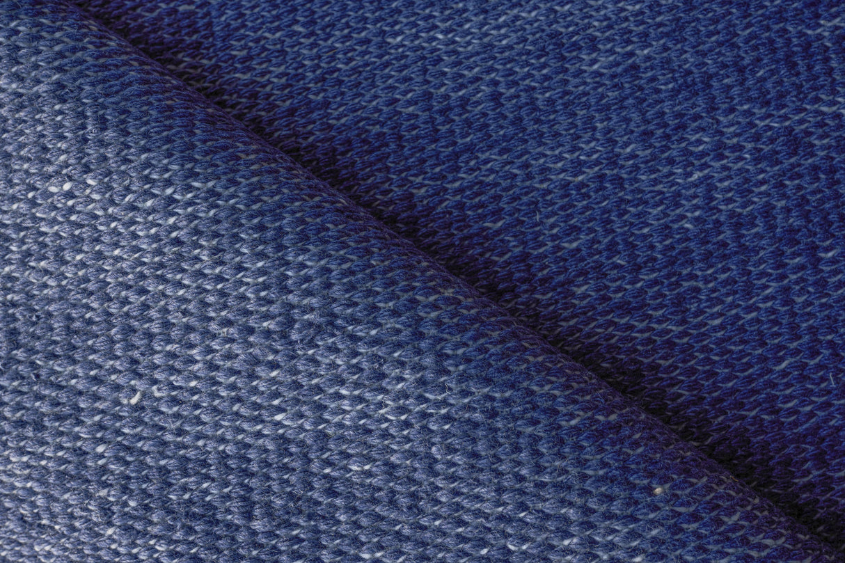 Exquisite Rugs Loro Indoor/Outdoor Flatweave PET yarn 4859 Navy 8' x 10' Area Rug
