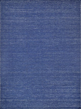 Exquisite Rugs Loro Indoor/Outdoor Flatweave PET yarn 4859 Navy 9' x 12' Area Rug